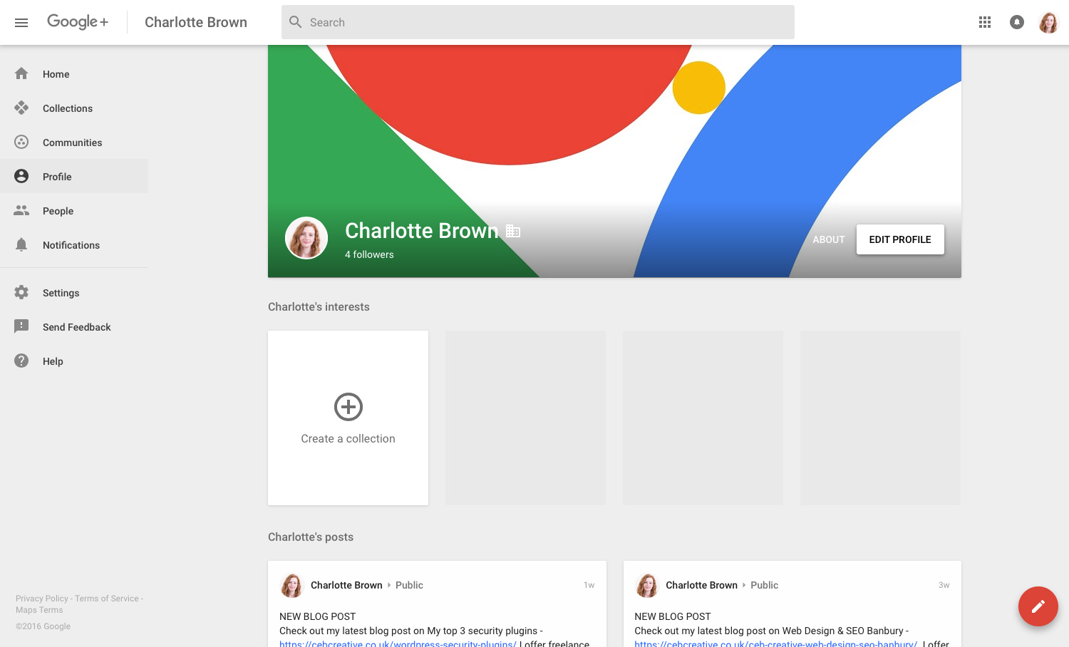 Google Plus Page Setup